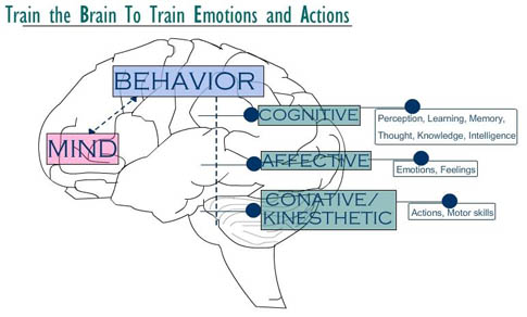 Brain & Behavior