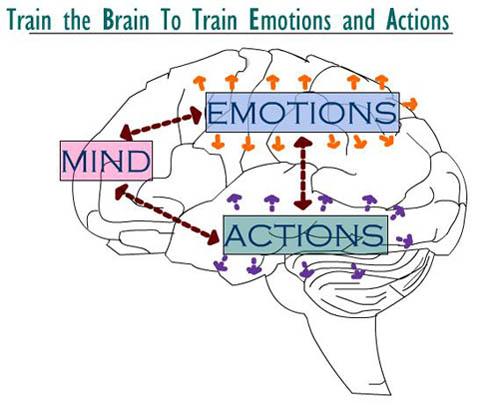 Mind, Emotion, and Brain